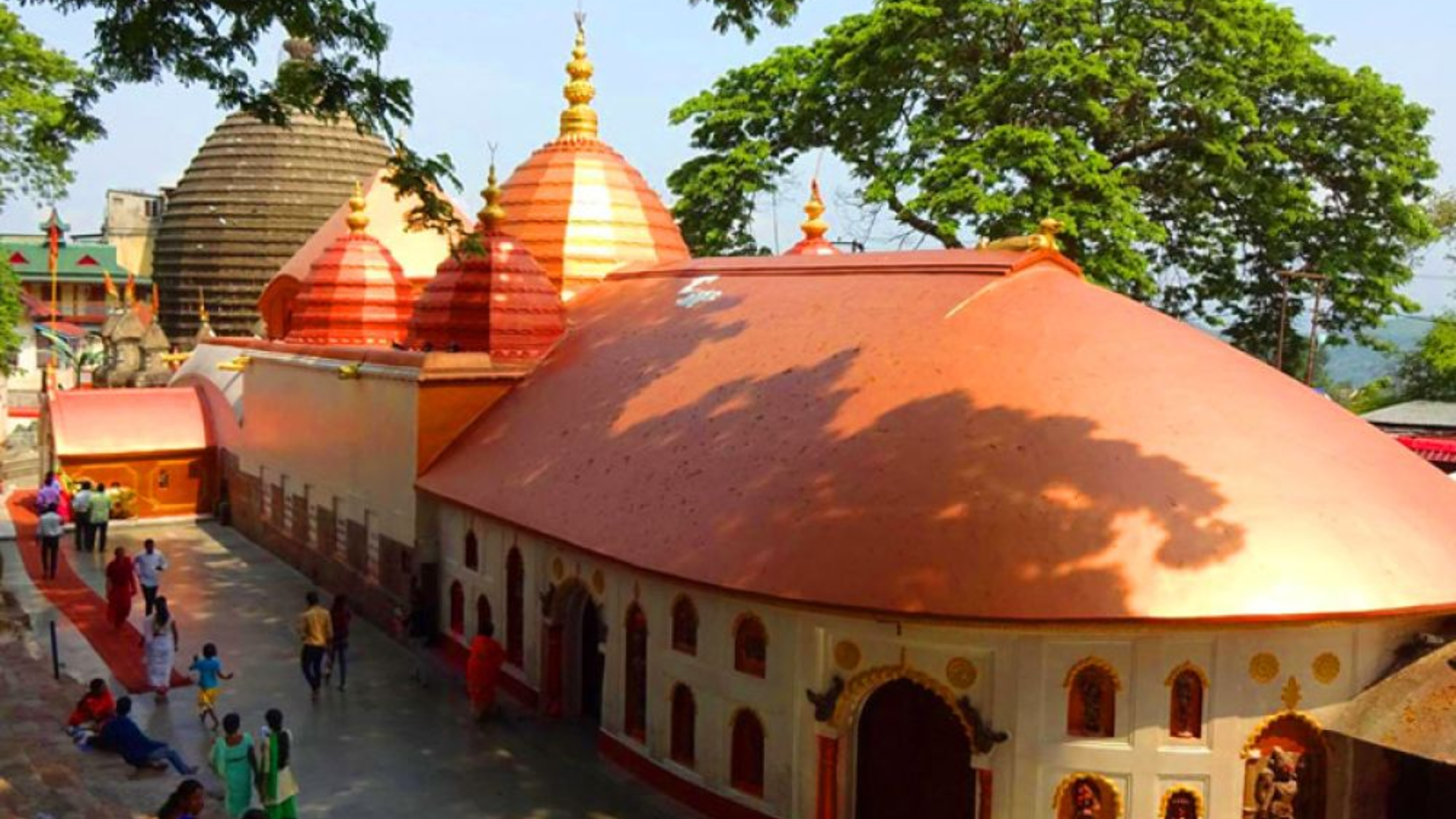 Assam Trip