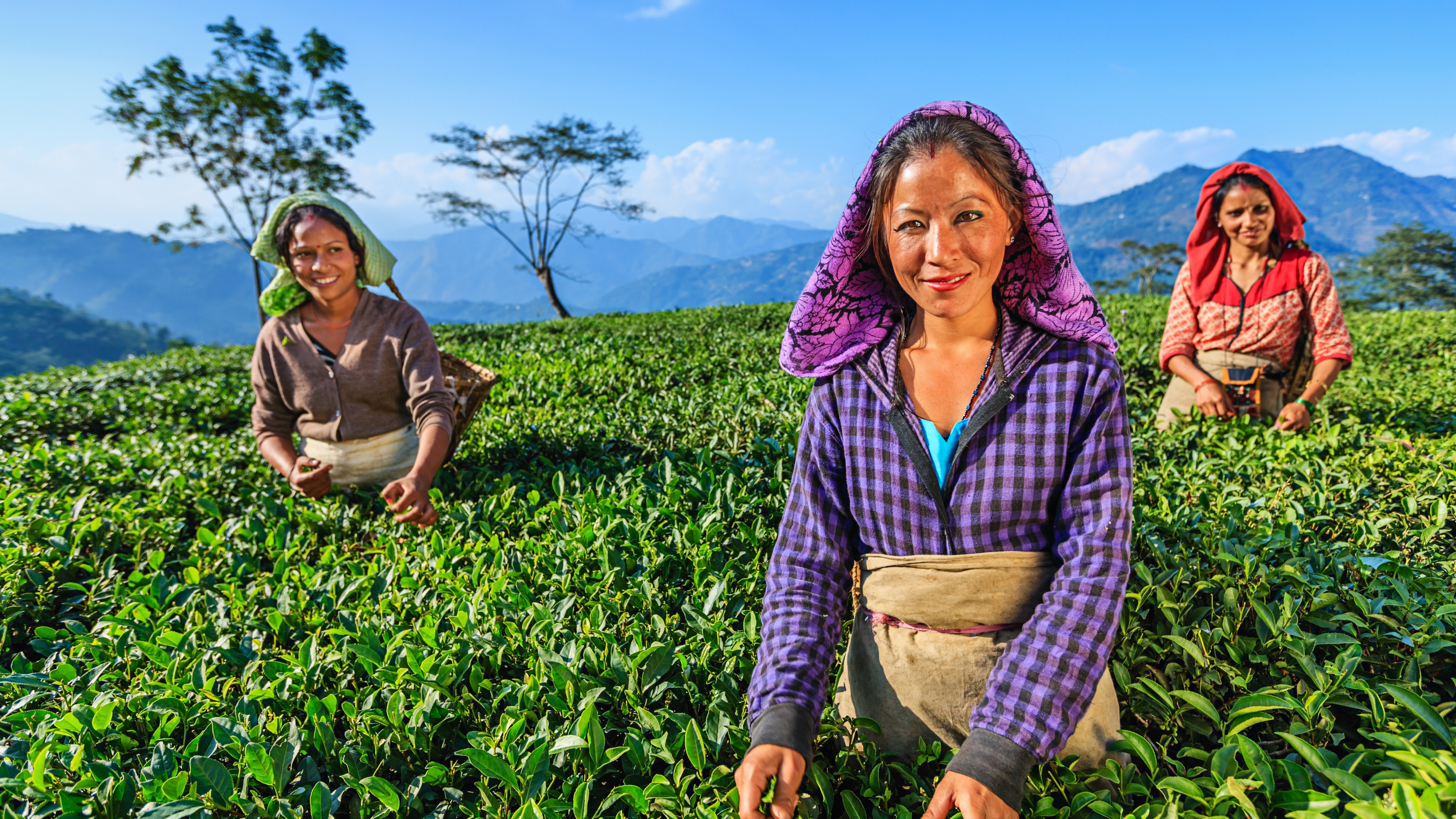 Darjeeling Trip